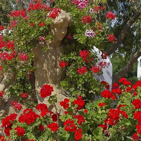 Fergus Conil Park מלון