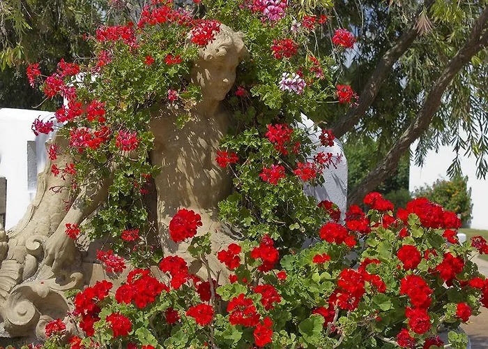 Fergus Conil Park Отель